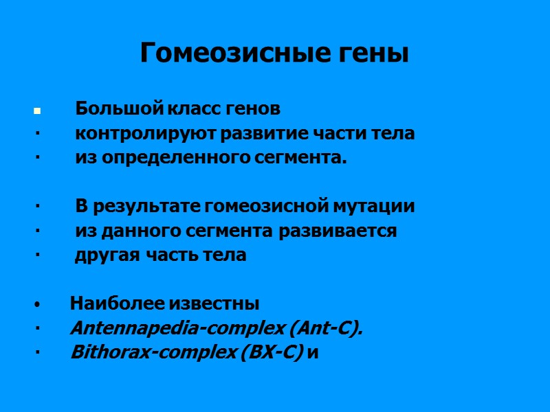 Гомеозисные гены Большой класс генов контролируют Гомеозисные гены Большой класс генов контролируют